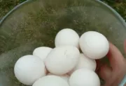 Jaja wiejskie